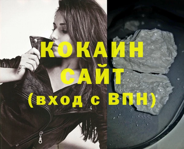 сатива Новозыбков