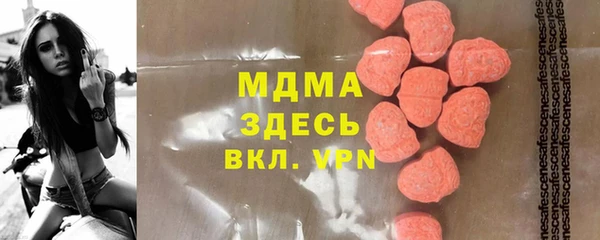 сатива Новозыбков