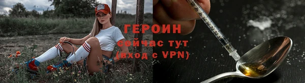 сатива Новозыбков