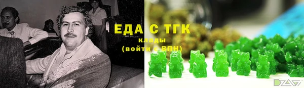 сатива Новозыбков