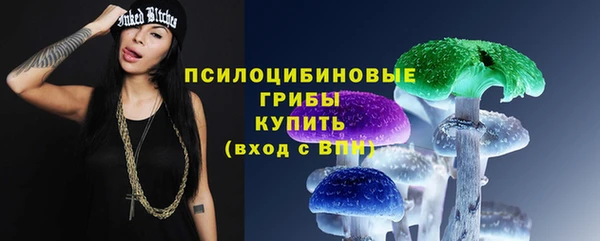 мдпв Новодвинск