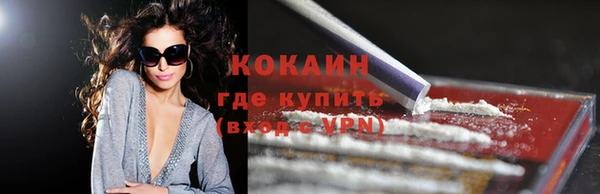 сатива Новозыбков