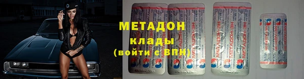 сатива Новозыбков