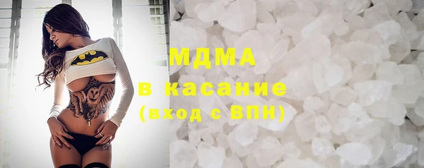 сатива Новозыбков