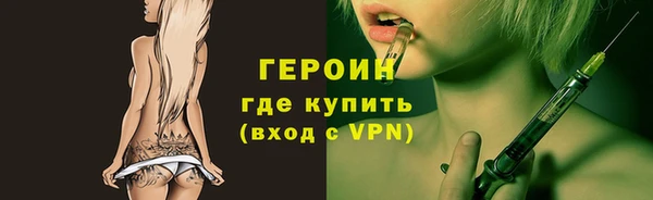 сатива Новозыбков