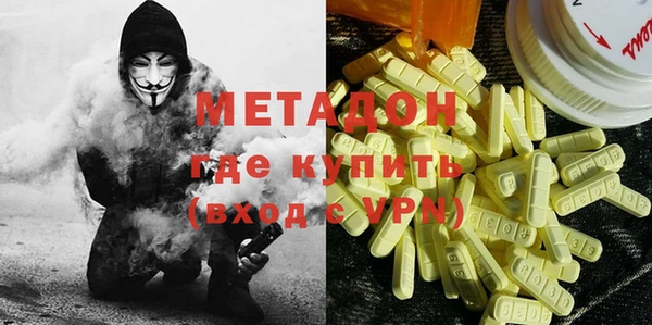 сатива Новозыбков