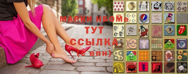 амф Новокубанск
