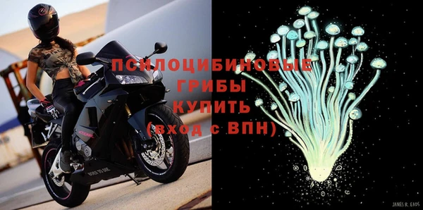 мдпв Новодвинск