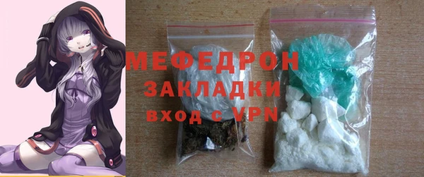 сатива Новозыбков