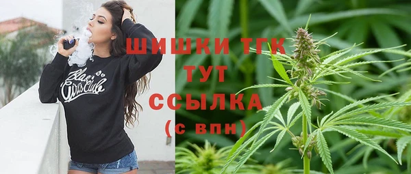 сатива Новозыбков