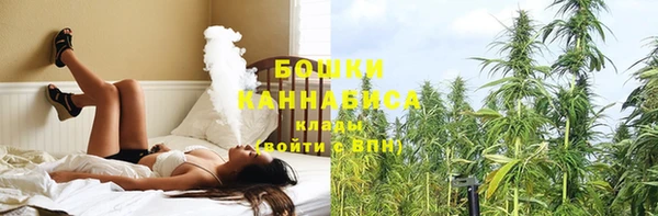 мдпв Новодвинск