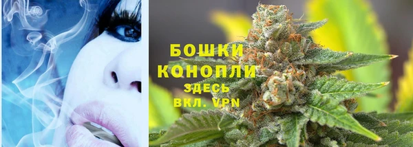амф Новокубанск