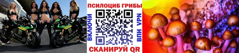 Галлюциногенные грибы ЛСД  где найти наркотики  Цимлянск 